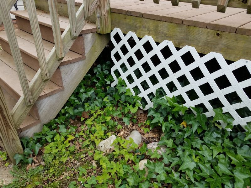 Deck Lattice Repair
